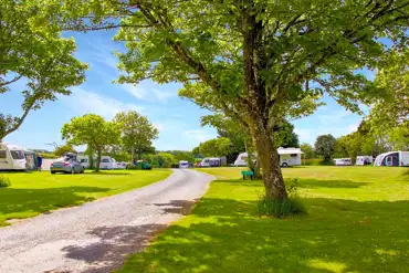 Grass pitches at Higher Trevaskis Caravan and Camping Park