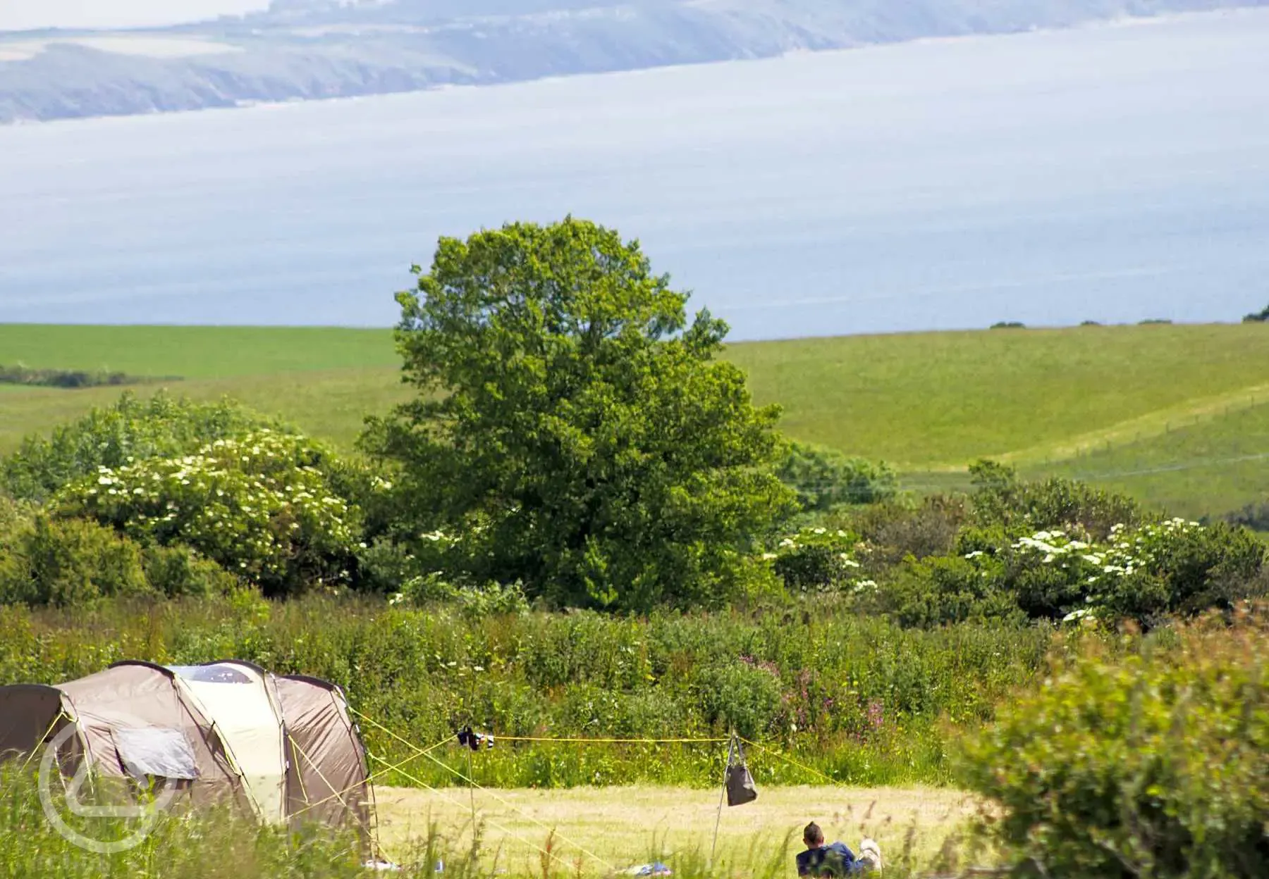Grass pitches with sea views