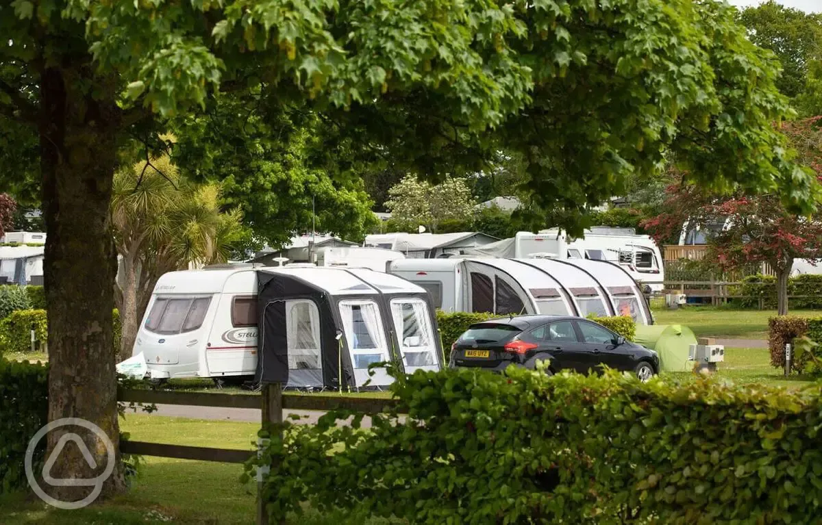 Electric grass camping pitches