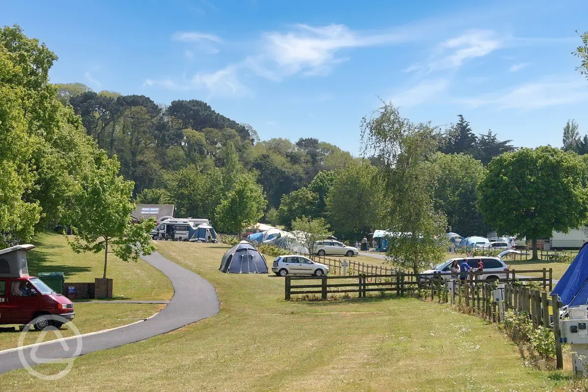 Electric grass camping pitches