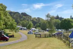 Electric grass camping pitches (11m x 10m) with 10 amp hook ups