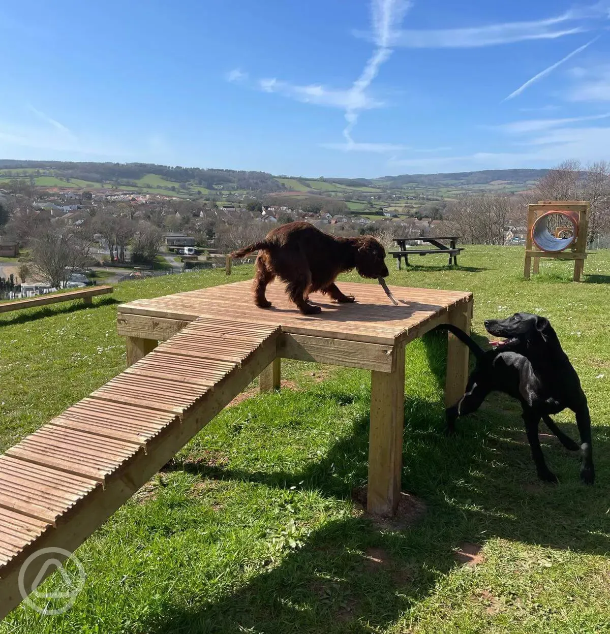 Dog walking area with an agility course