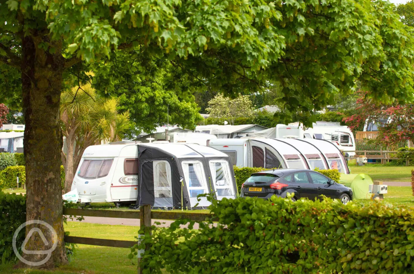 Electric grass camping pitches with trees amongst the pitches
