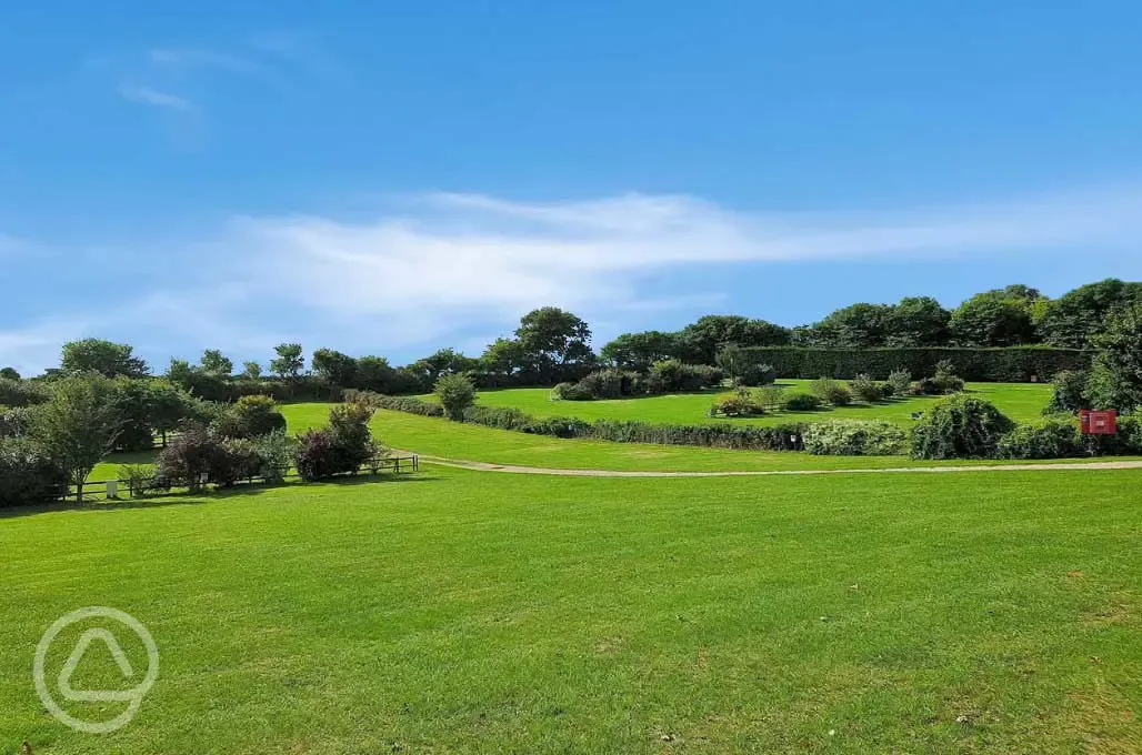 Overview of the electric grass pitches