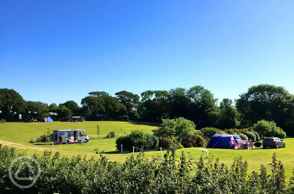 Overview of the electric grass pitches