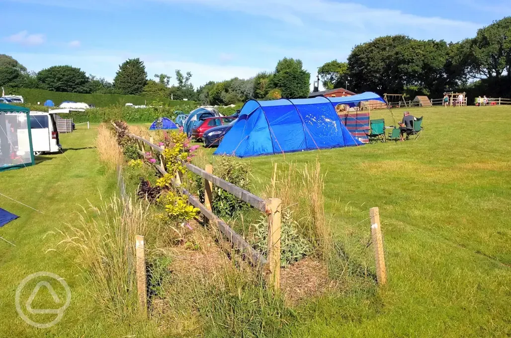 Electric grass pitches 