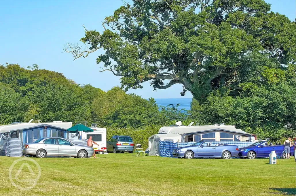 Electric grass touring pitches (Owl Field) with sea views 