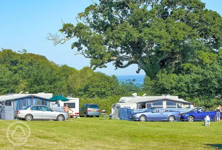 Electric grass touring pitches (Owl Field) with sea views 