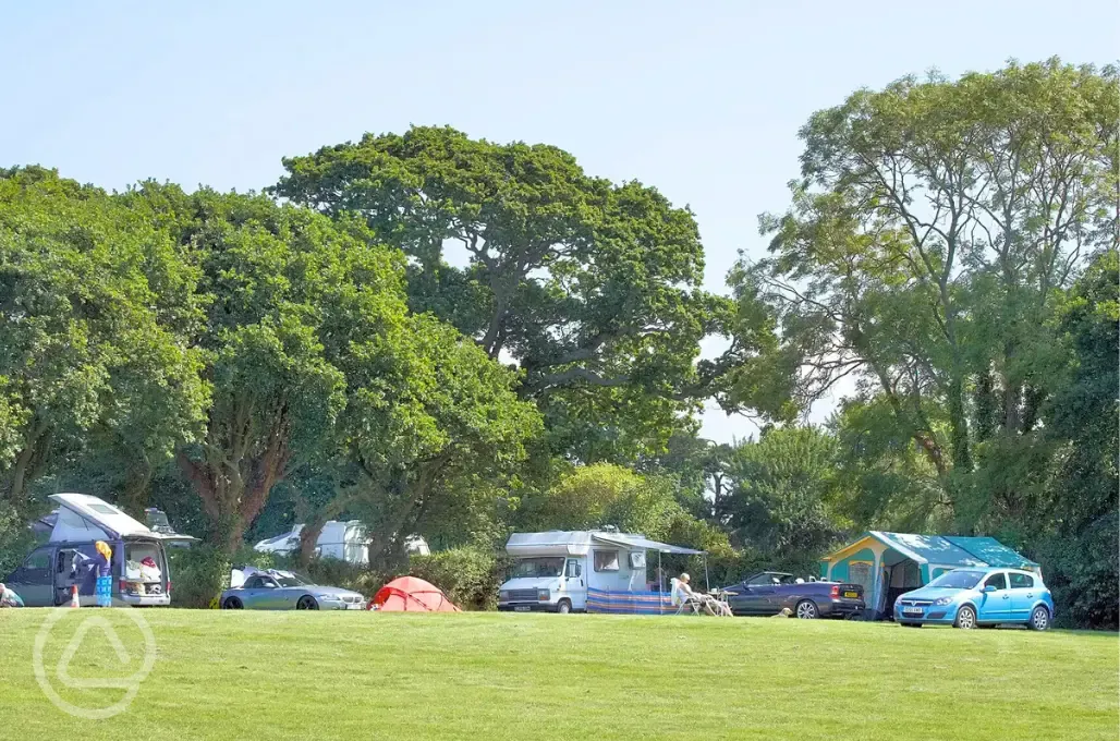 Electric grass pitches, hedge pitches and mid-field pitches