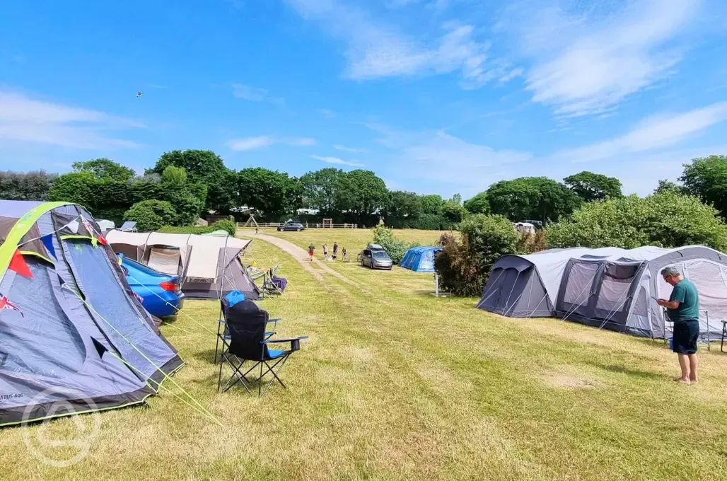 Electric grass pitches 