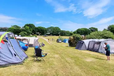 Electric grass pitches in the Fox and Badger Fields at at Leadstone Holiday Park