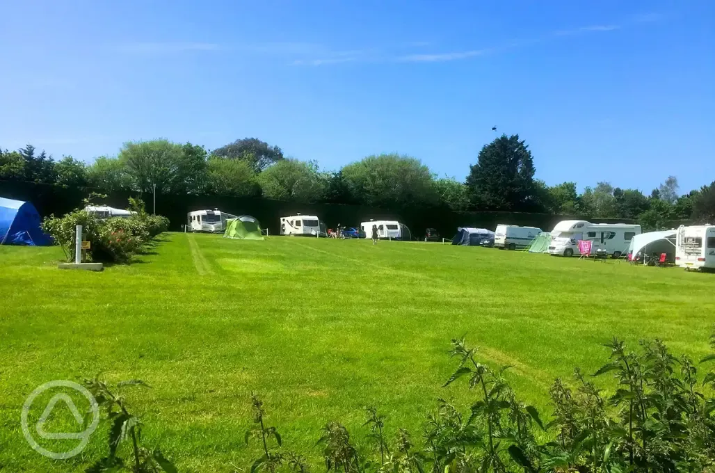 Electric grass pitches 