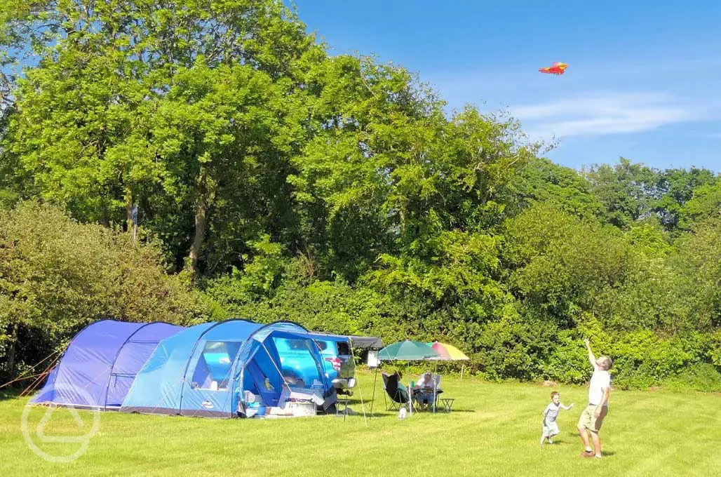 Electric grass pitches