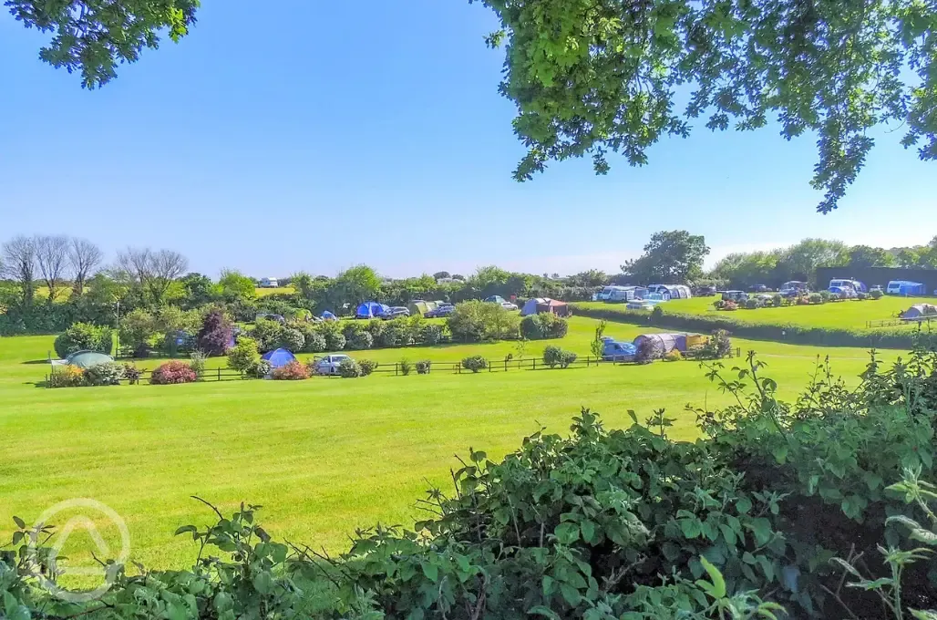 Electric grass pitches 