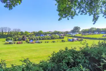 Electric grass pitches 