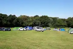 Grass pitches with space for a parked car
