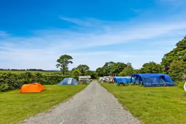 Tents on optional electric grass pitches Langstone Manor Holiday Park