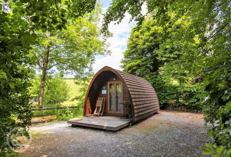 Large camping pods (dog friendly)
