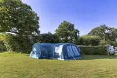 Non electric grass tent only pitches with hedges for privacy