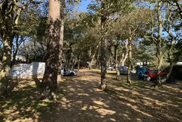 Rookery camping area
