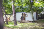 Shepherd's huts (in the Rookery area) under the shade of trees