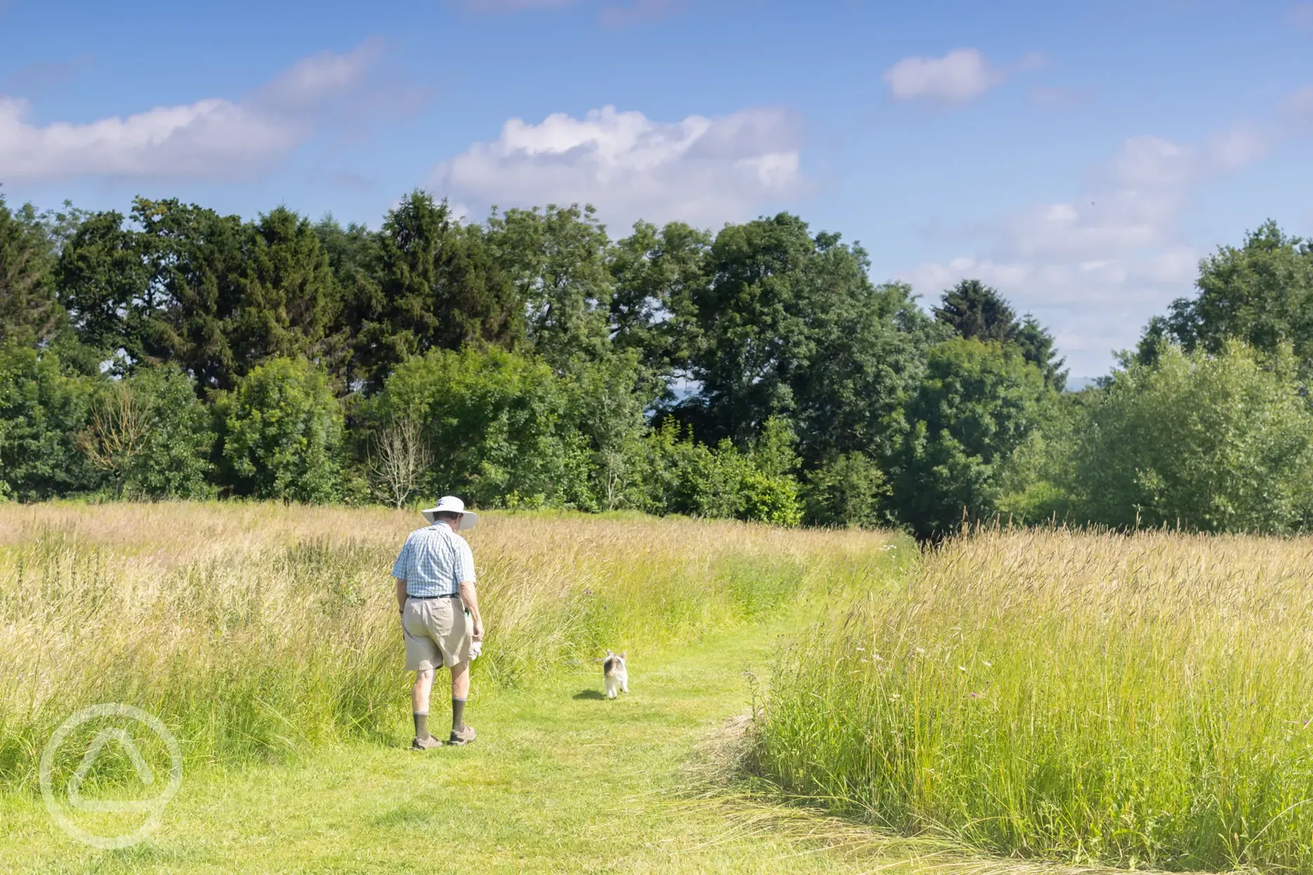 Walks through the meadow with your four legged friend