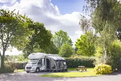 Super pitches (Walnut Terraces) surrounded by trees