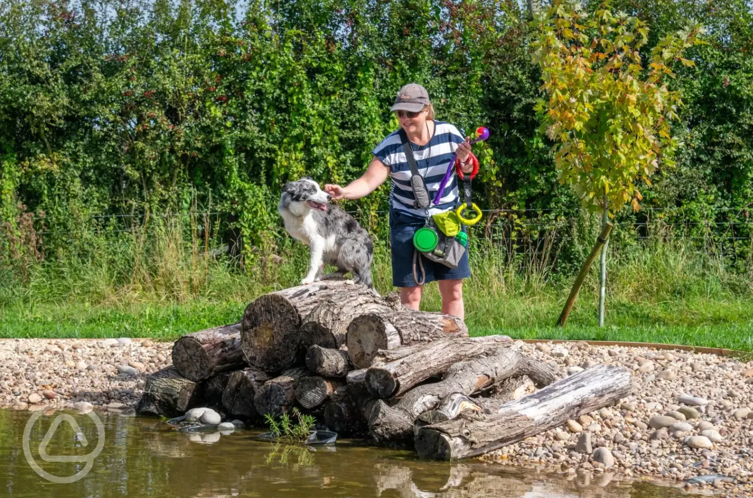 Dog exercise area with swimming pond
