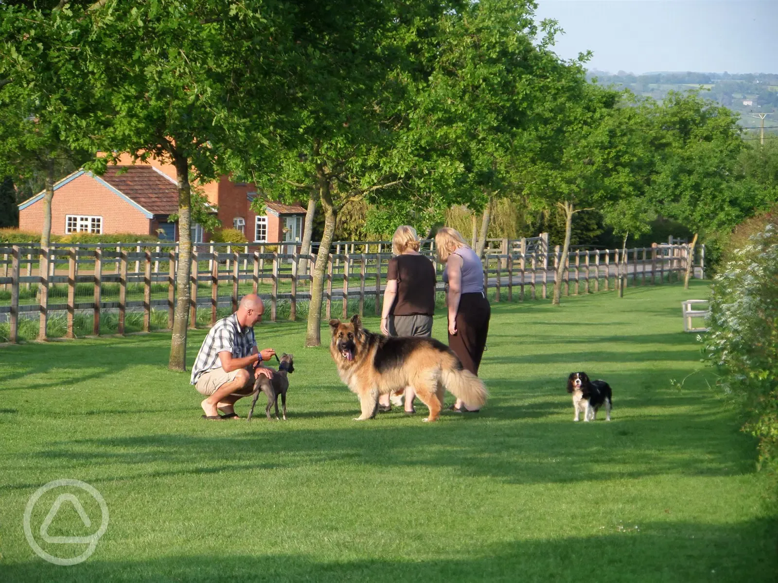 Dog exercise area 