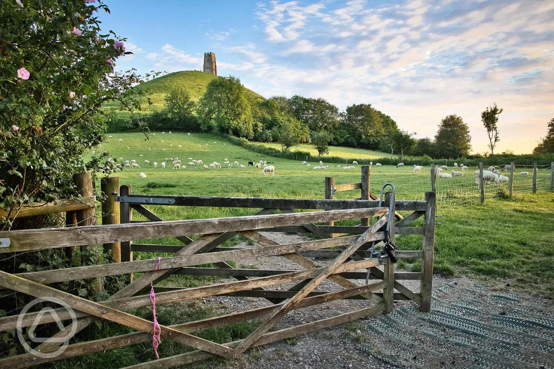 Walks near the Glastonbury Tor from site