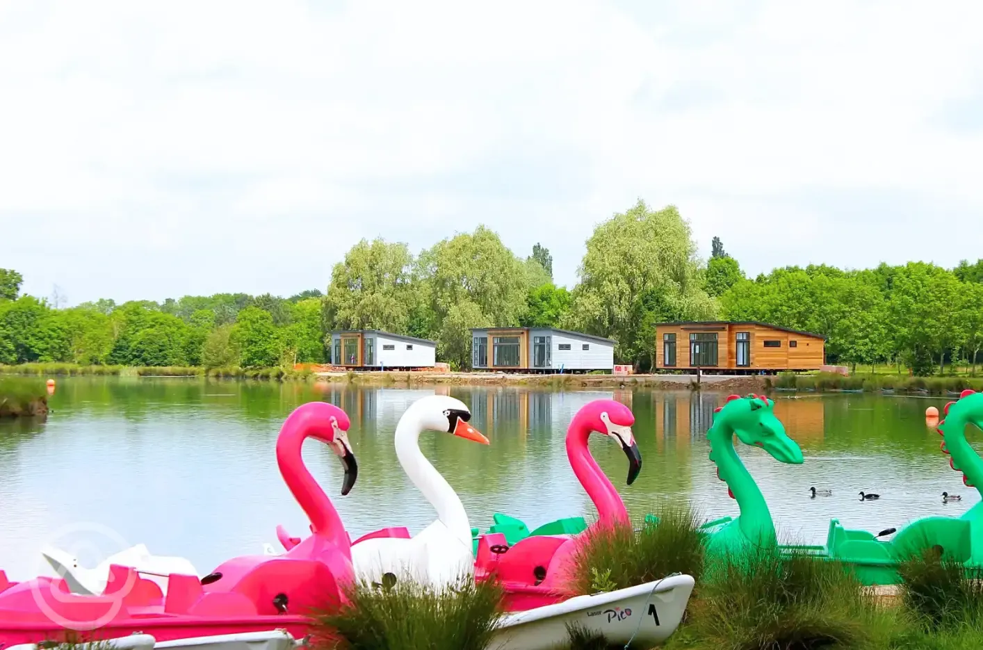 Pedalos for hire