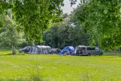 Non electric grass pitches in the Meadow area Non electric grass pitches in the Meadow area