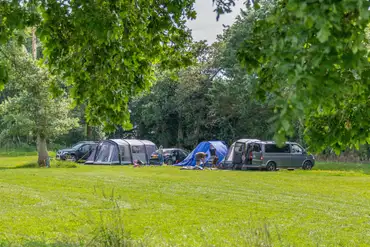 Non electric grass pitches in the Meadow area