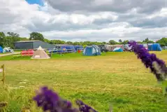 Meadow non electric grass pitches