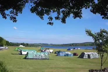 Extensive tent field
