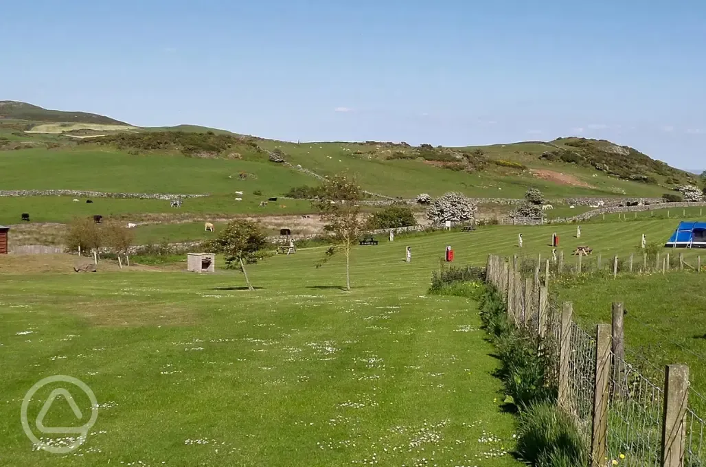 Electric grass pitches 