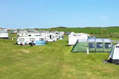 Electric grass pitches with 16 amp hook ups