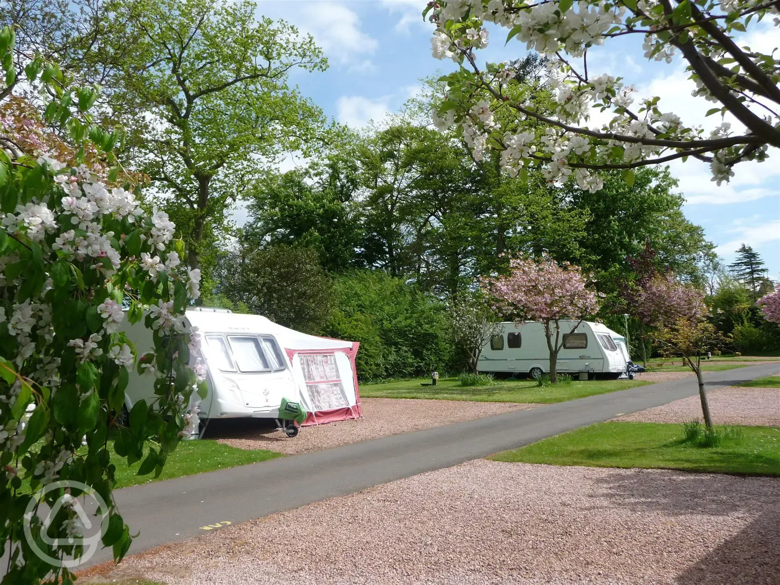 Touring in spring at Craigtoun Meadows Holiday Park