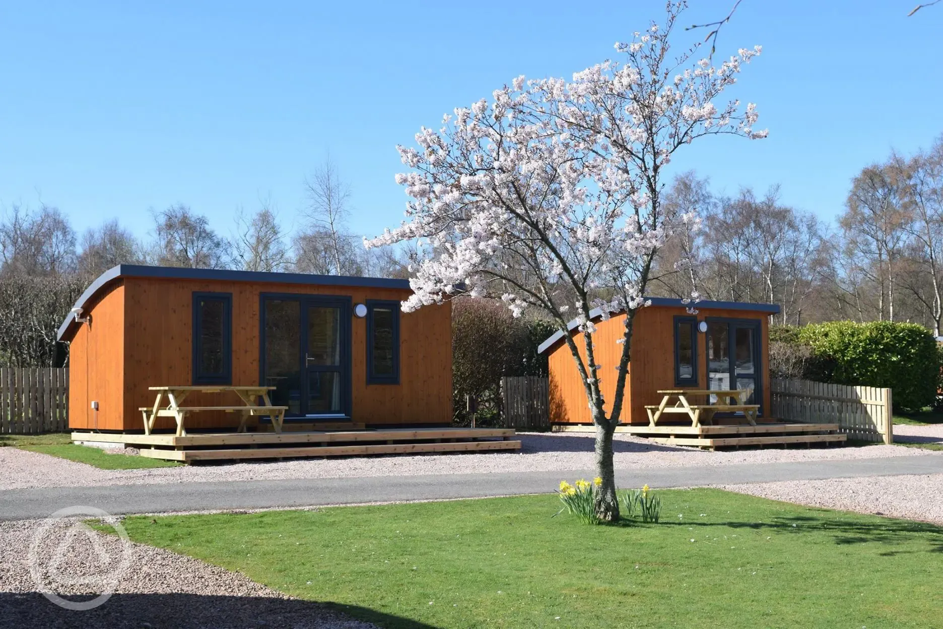 Little lodges at Craigtoun