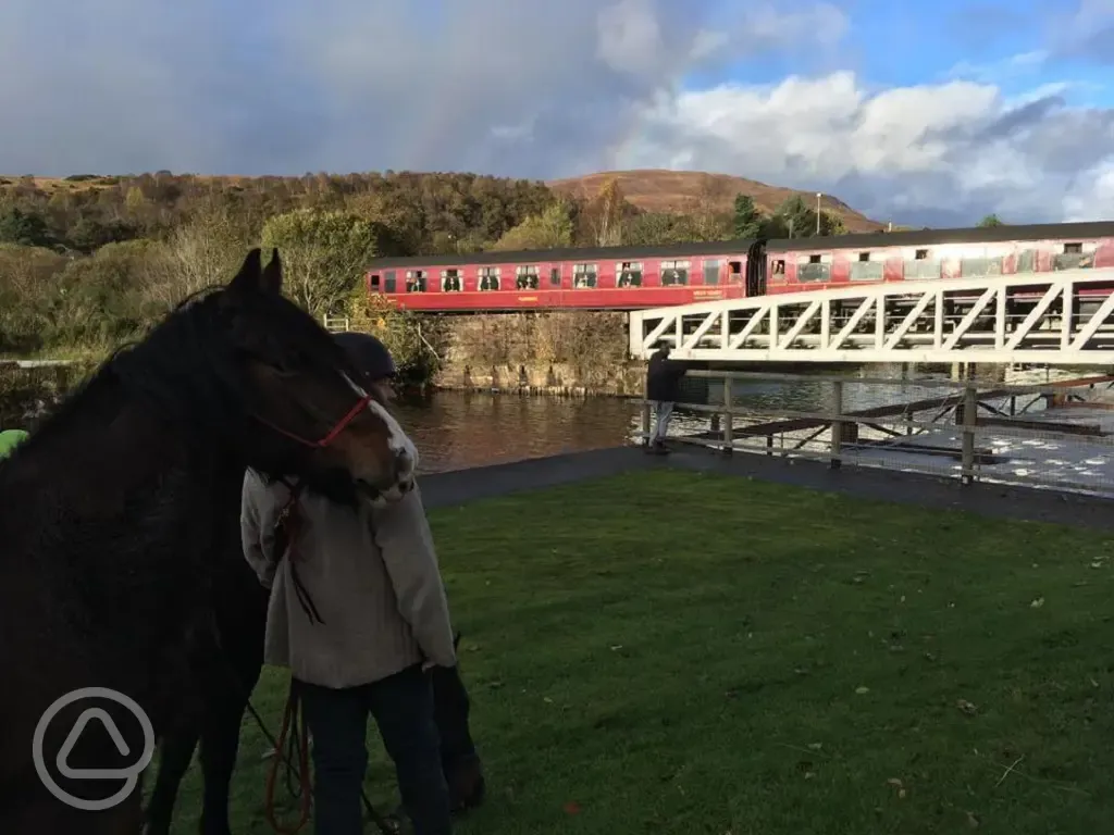 Jacobite Steam Train (15 minute drive away)