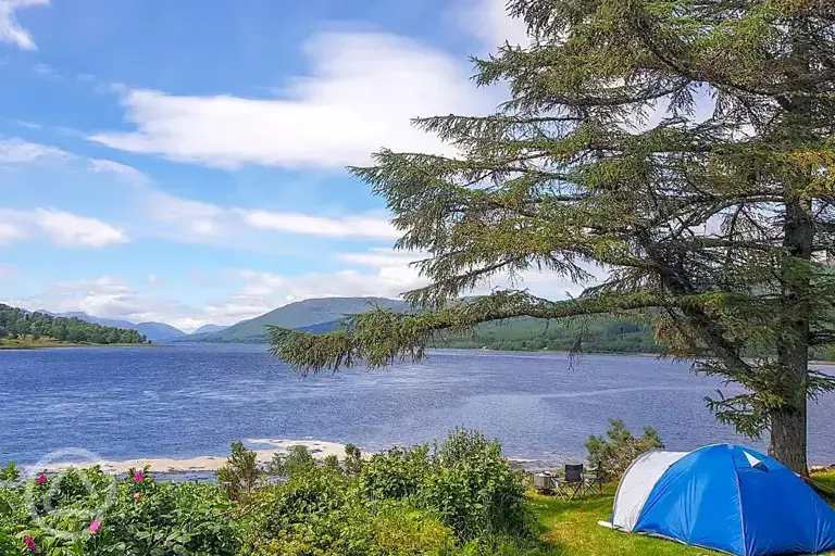 Non electric grass tent pitches overlooking Loch Eli