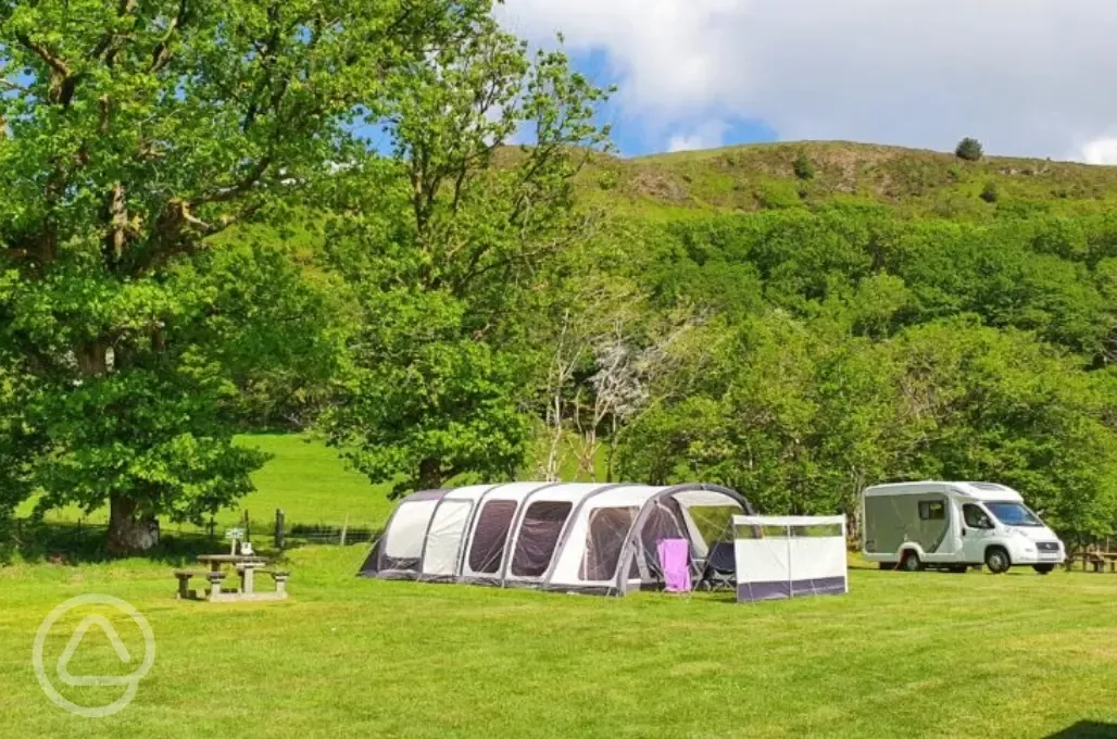 Electric grass pitches