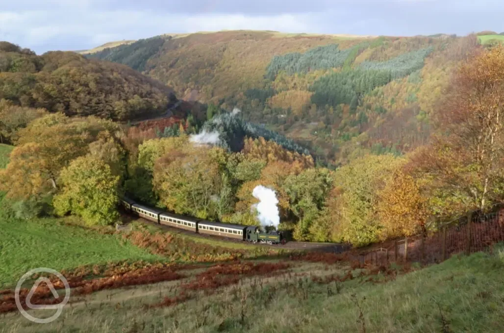 Vale of Rheidol Steam Train