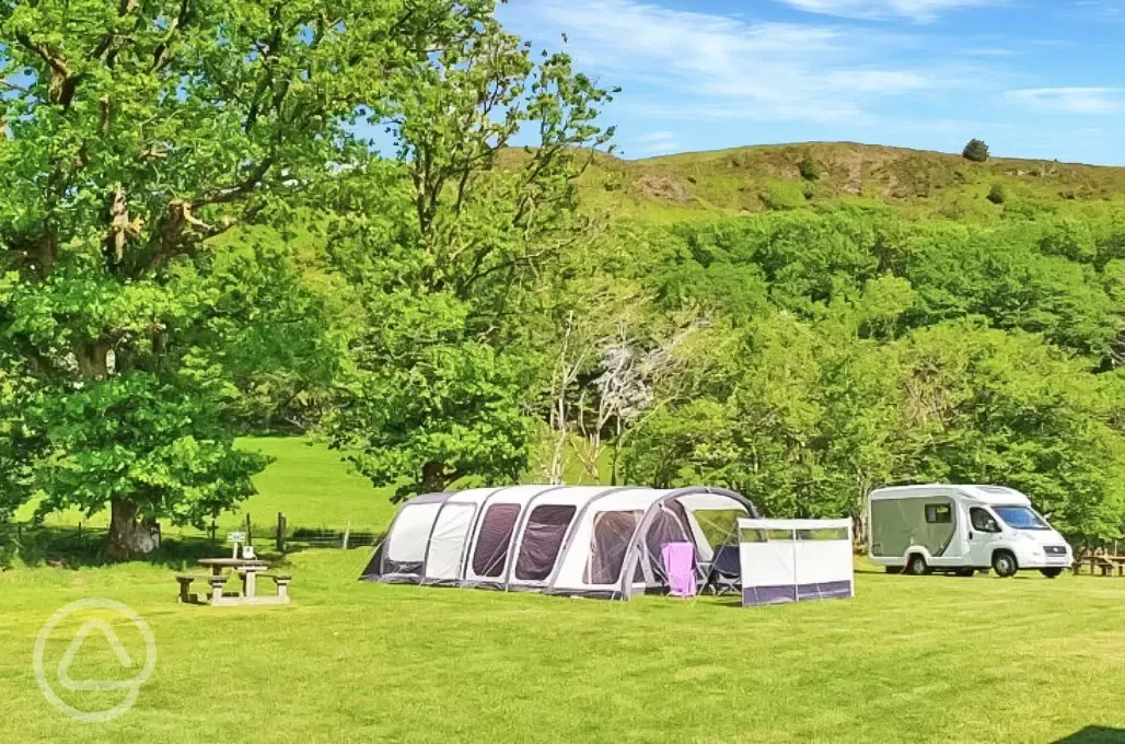 Electric grass pitches