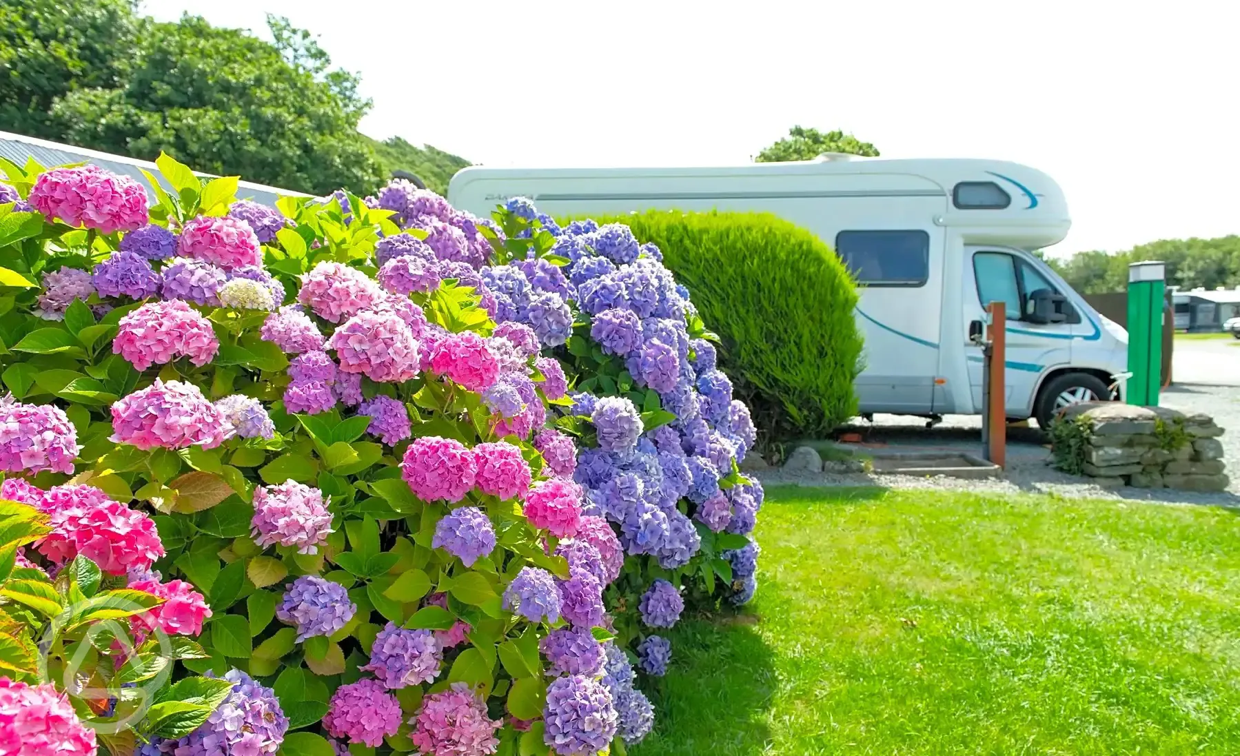 Hardstanding pitches with surrounding planting