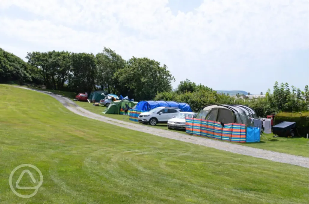 Grass pitches