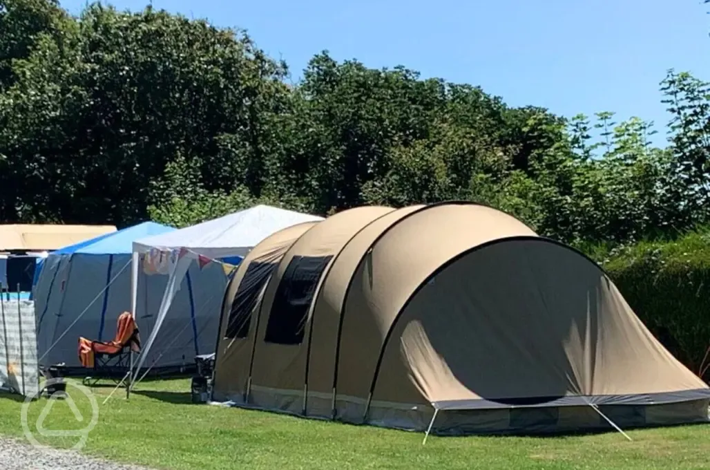 Grass pitches