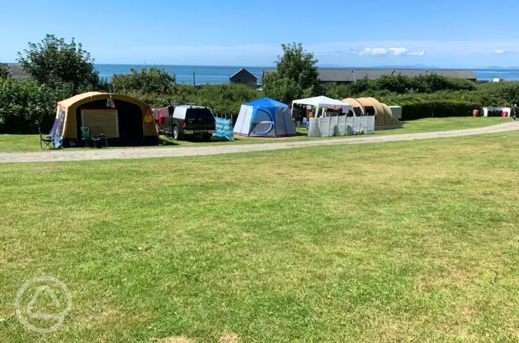 Grass pitches