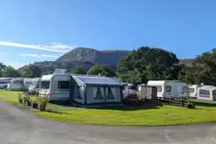 Electric grass pitches Electric grass pitches