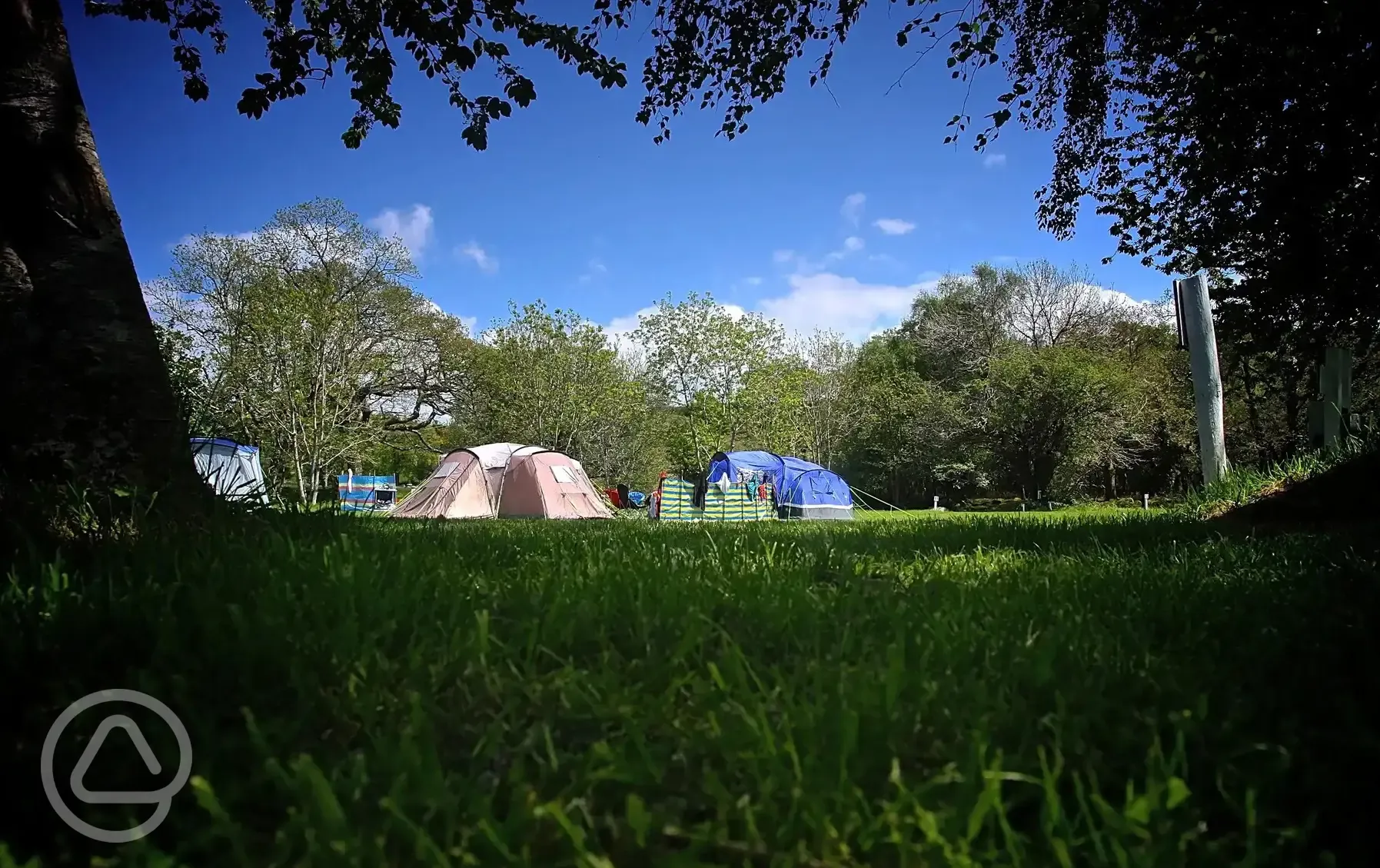 Tent camping at Riverside Camping